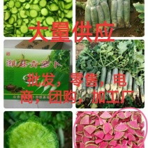 潍县青萝卜大量供应电商，加工厂。超市，团购，以及批发零售