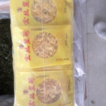 金丝皇菊大量批发常年有大货质量好，价格优
