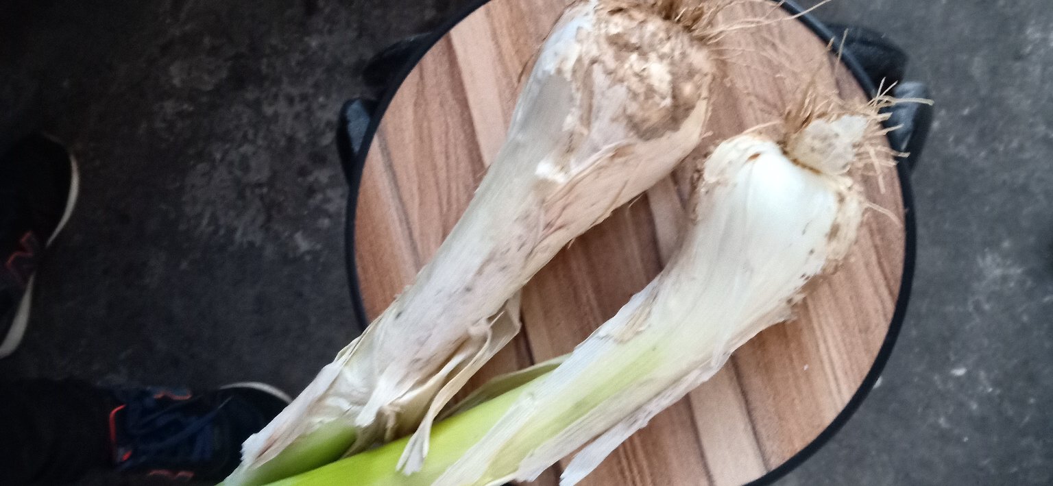 鸡腿与大葱搭配烹饪图