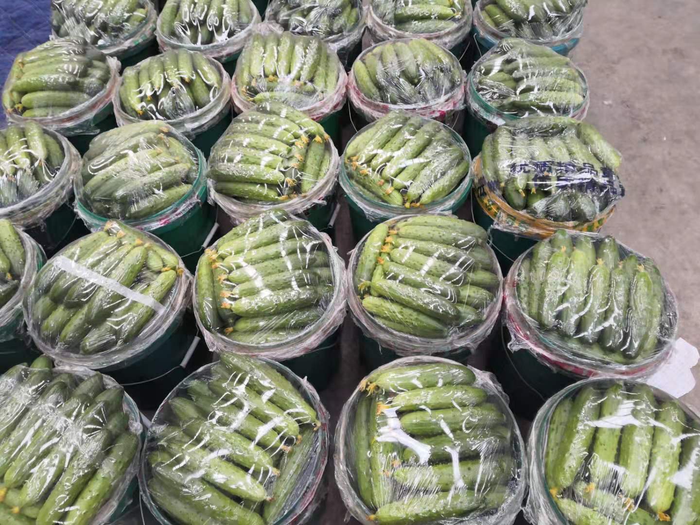 气调包装操作场景