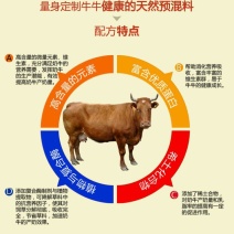 牛饲料5%奶牛预混料提高产奶量