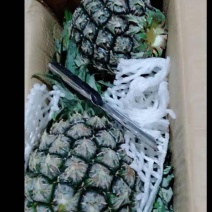 菠萝刀，去眼刀