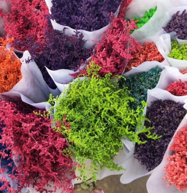 云南干花 染色情人草 颜色多 品质好 量大可谈价 自选色