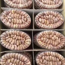 越南腰果。一手货源，250克装