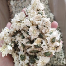 七月菊特/级白菊花七月菊贡菊花500g黄山贡菊花茶贡