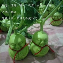 新鲜人参果人生果特级笑娃福娃人形娃娃果当季水果送礼水果包