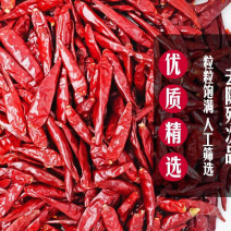 新一代辣椒段，产地一手货源，产地直发，质量保证