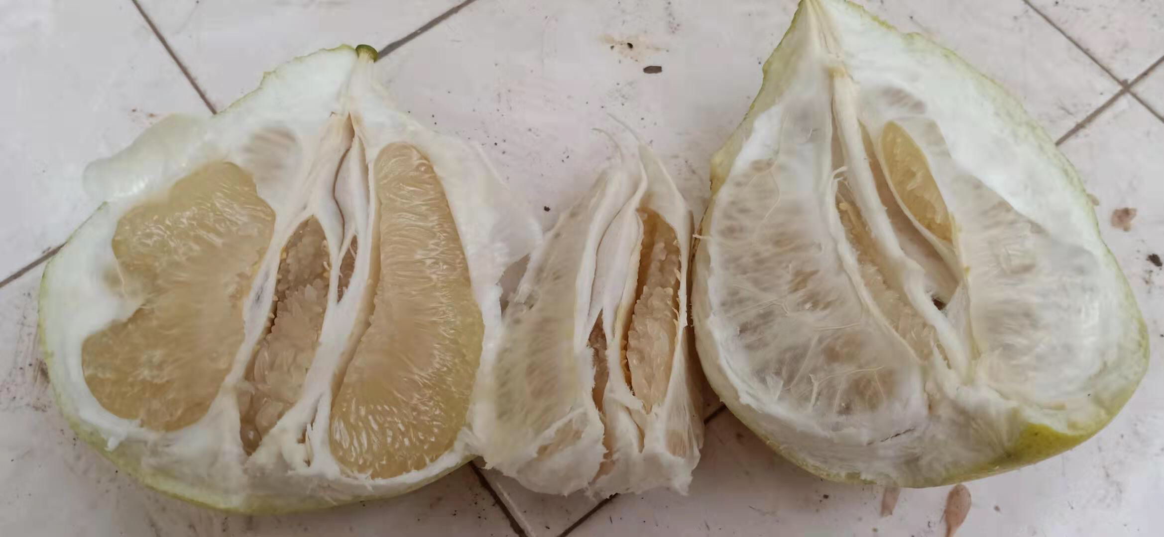 新鲜柚子切开,果肉饱满多汁 新鲜柚子切开果肉