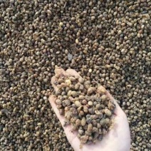 生物菌发酵大豆厂价直供