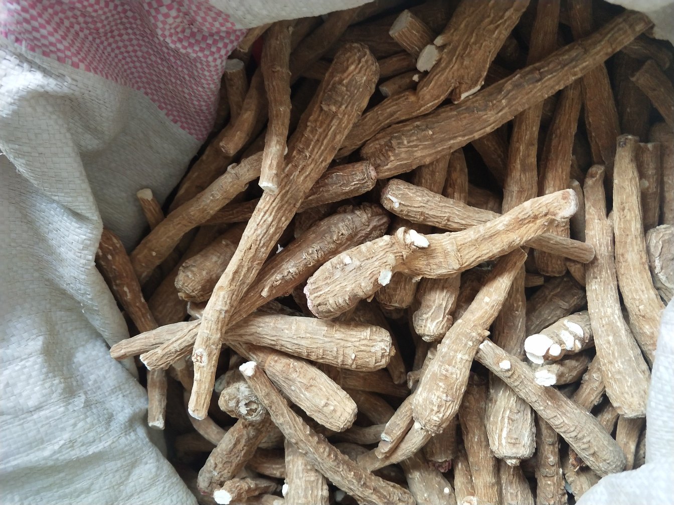 白芷药材质量对比图