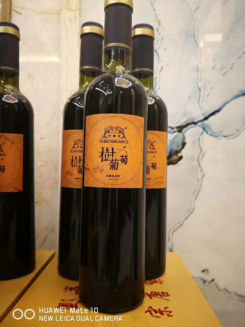 福建漳州龙文区红酒 1320.00元/件树葡萄酒
