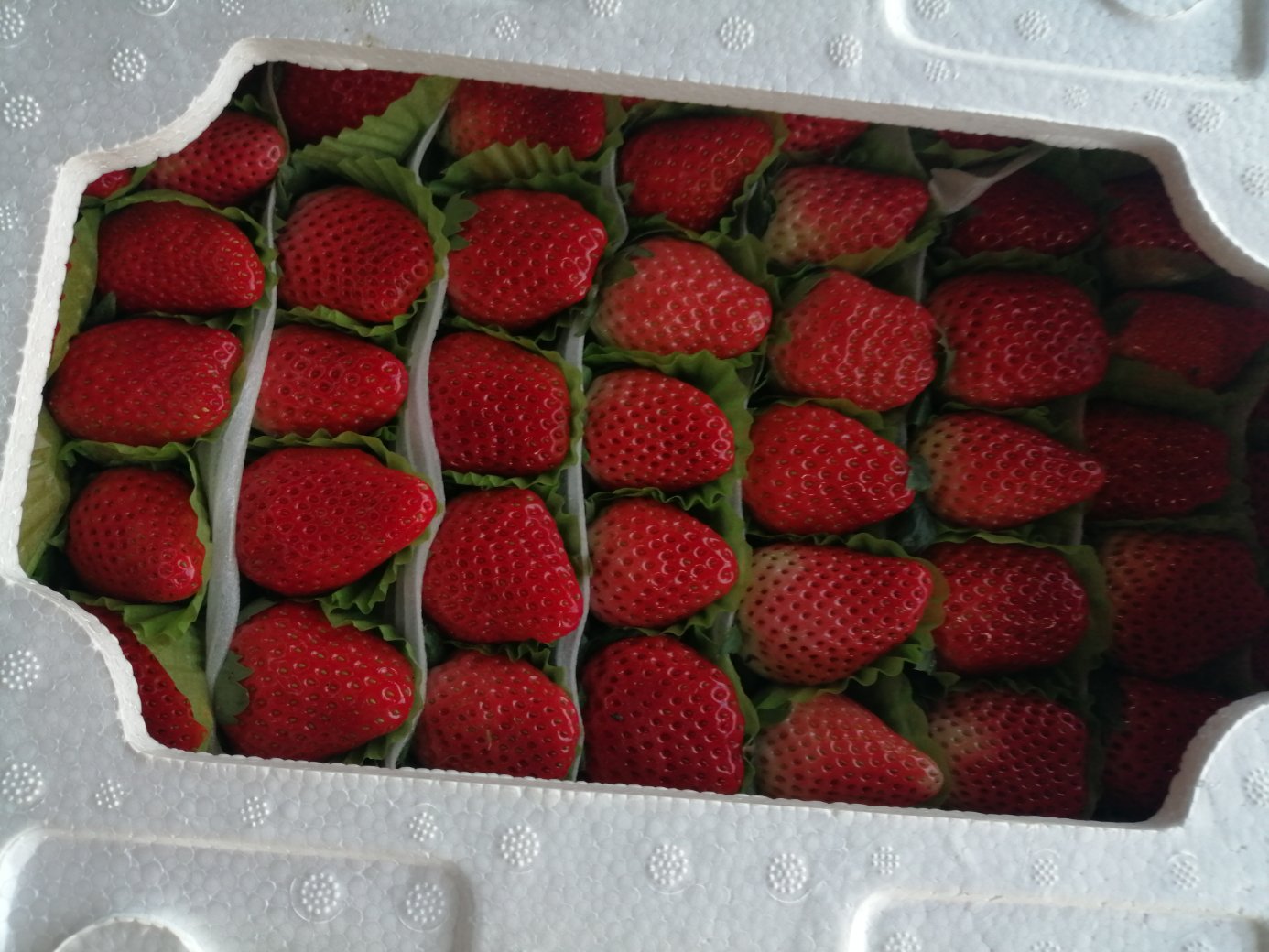 一个现代化水果市场摊位,陈列着多个透明塑料盒装的甜宝草莓,每盒贴有‘甜宝草莓’标签,果粒整齐排列,色泽红润,旁边配有电子秤和二维码溯源信息牌,体现标准化与品牌化销售趋势 甜宝草莓市场销售场景