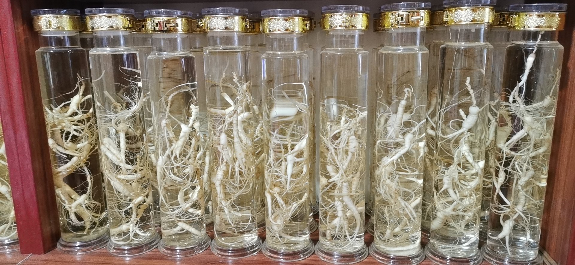 鲜野山参切片泡酒示意图