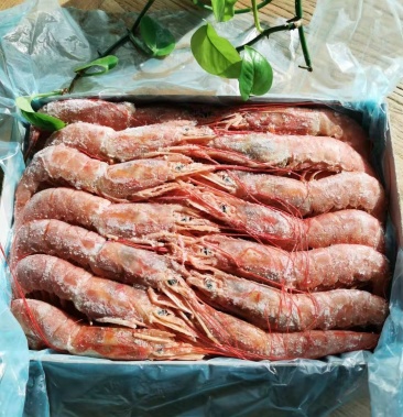 阿根廷红虾a级船冻原装进口工厂现货一件代发