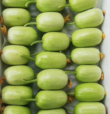 山东新鲜小黄瓜小青瓜玉女瓜现摘现发瓜清甜爽量足