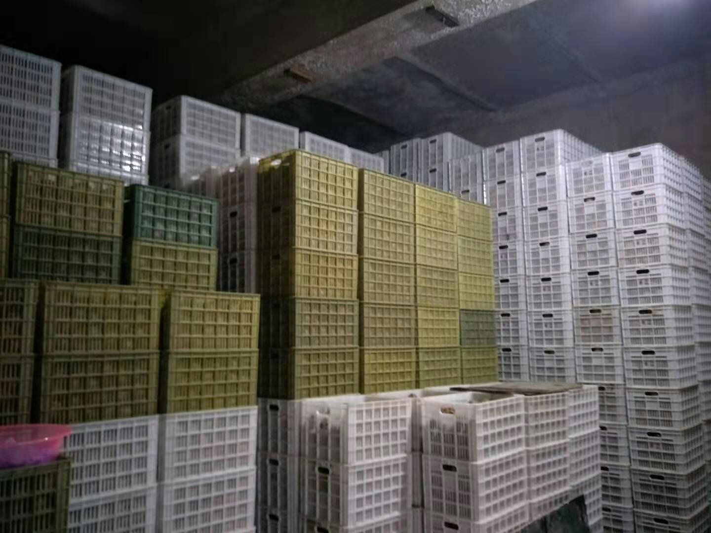 展示海沃德猕猴桃的多种加工产品,如果汁、果干、果酱等,陈列在货架上 猕猴桃加工产品展示
