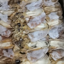 墨鱼，淡干大墨鱼