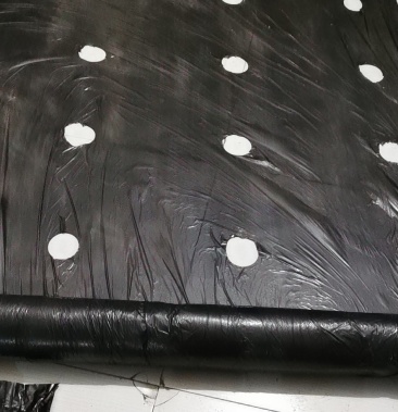 地膜开孔 定制尺寸 农资批发