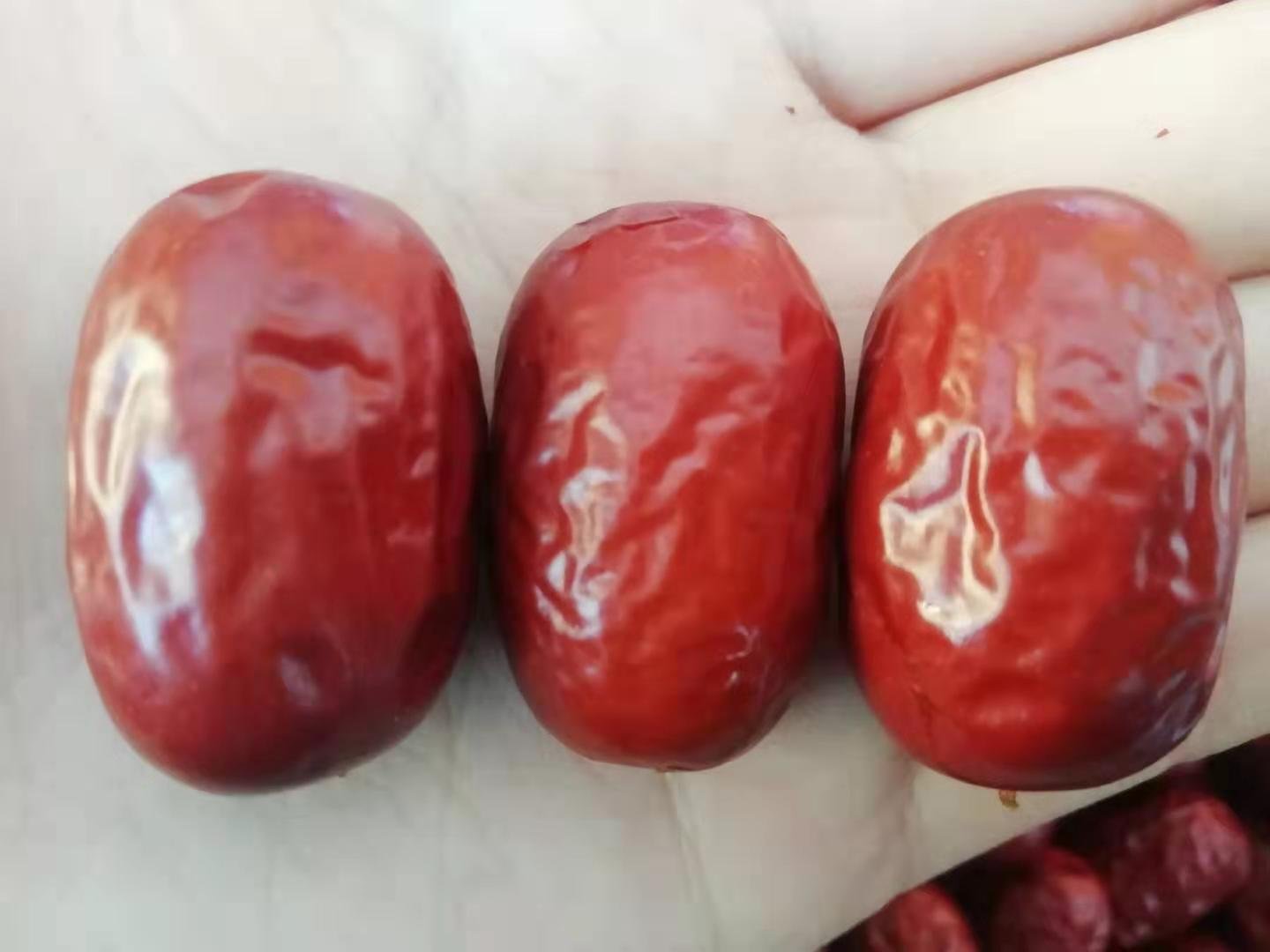 新疆长枣特写