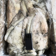 目鱼