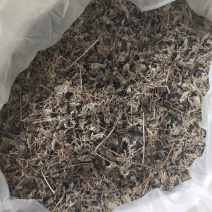 野生藤茶霉茶干货12元一斤
