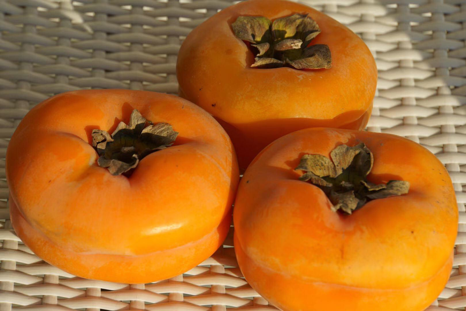 成熟的磨盘柿特写展示其独特腰痕特征