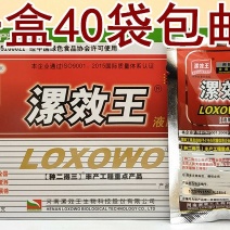 火龙果红薯草莓黄瓜豆角小麦玉米大蒜洋葱西瓜辣椒增产叶面肥