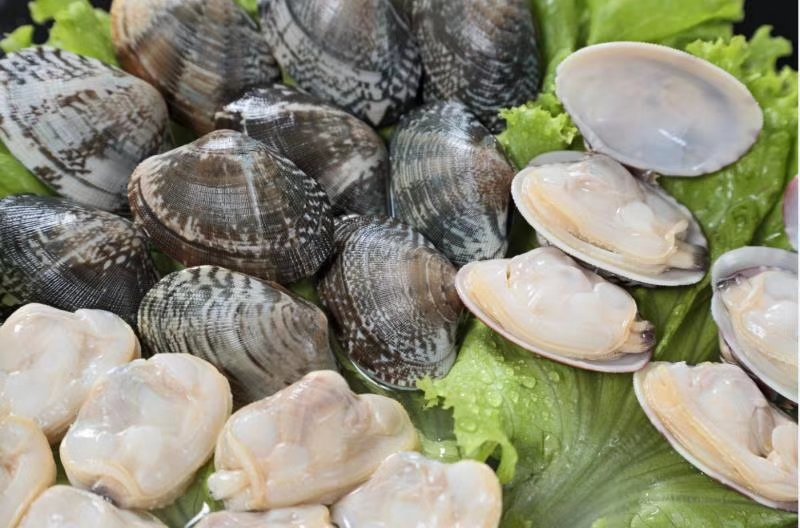 花蛤健康烹饪方式示意图