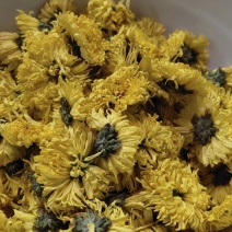 婺源皇菊