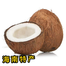 海南椰子6个装新鲜当季水果去皮椰青有椰宝可煲汤榨果汁