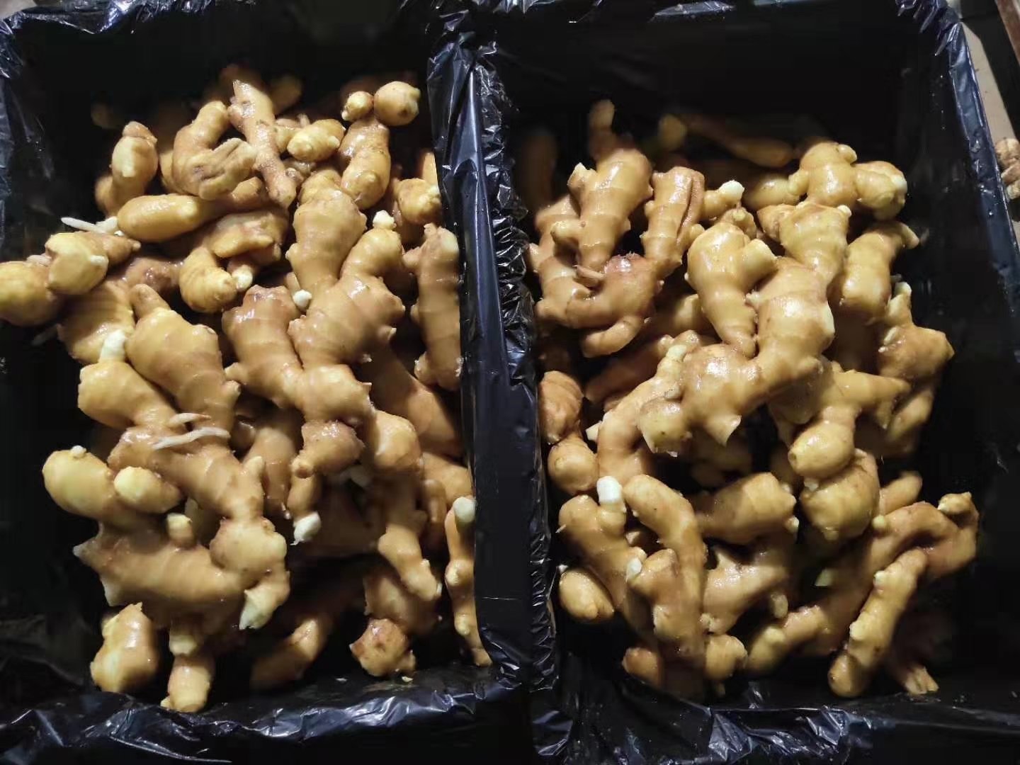 阜阳姜母在市场中销售的场景