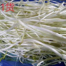 庐江芹芽(两万多亩的种植面积，让您货源无忧)