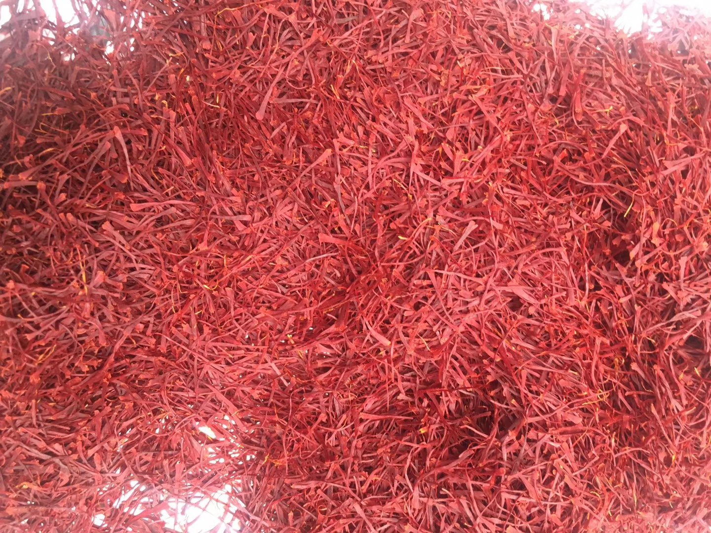 九曲红梅干茶条索卷曲,色泽红润,具有独特的外形和香气 九曲红梅干茶特写