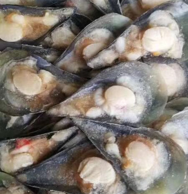 [扇贝批发]带子 半边冷冻带子 产地直销,量大从优160粒/箱价格150.