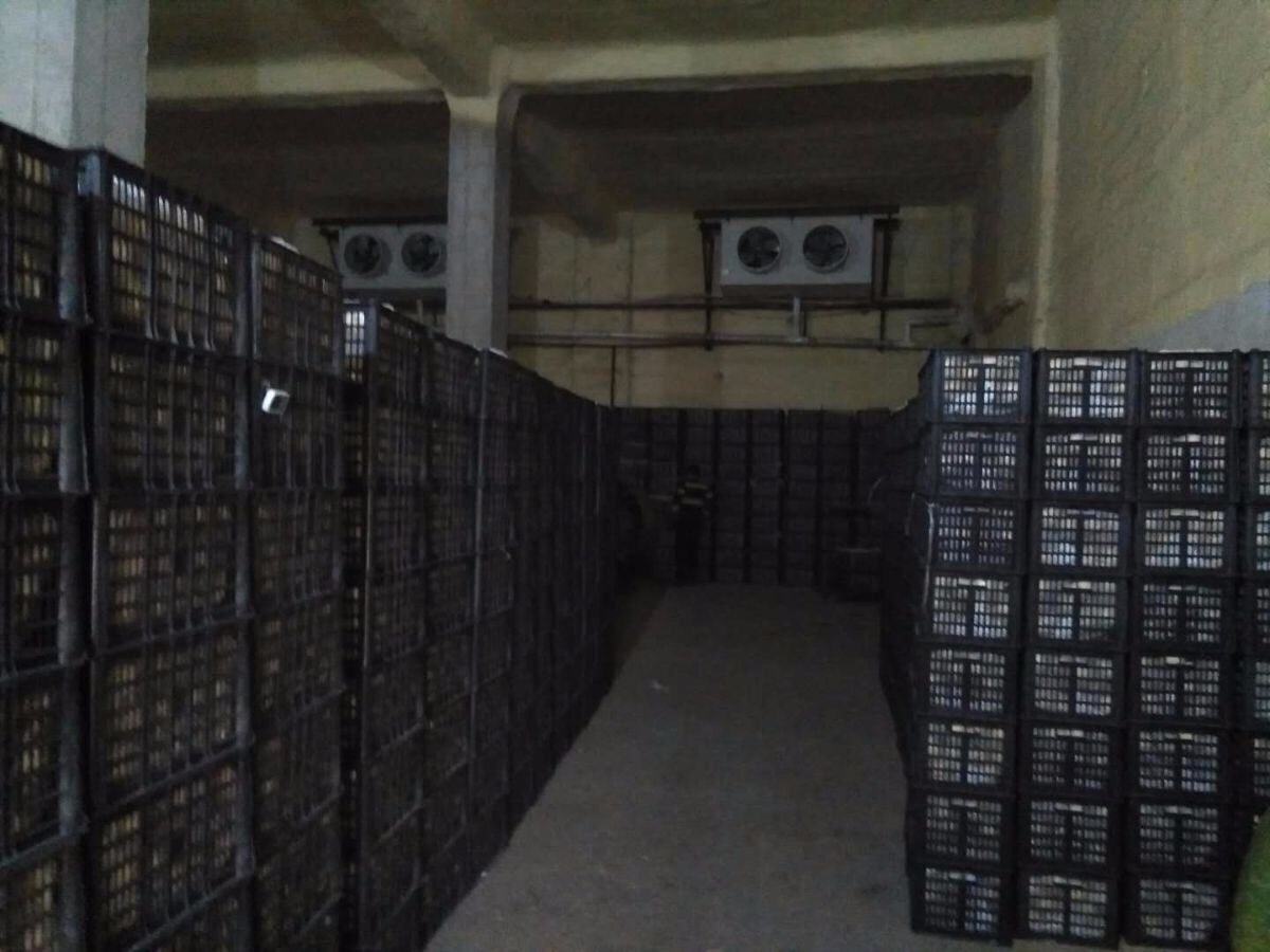 库尔勒香梨现代化冷库内部