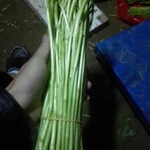 芦蒿，黎蒿精品芦蒿保健菜品营养佳肴