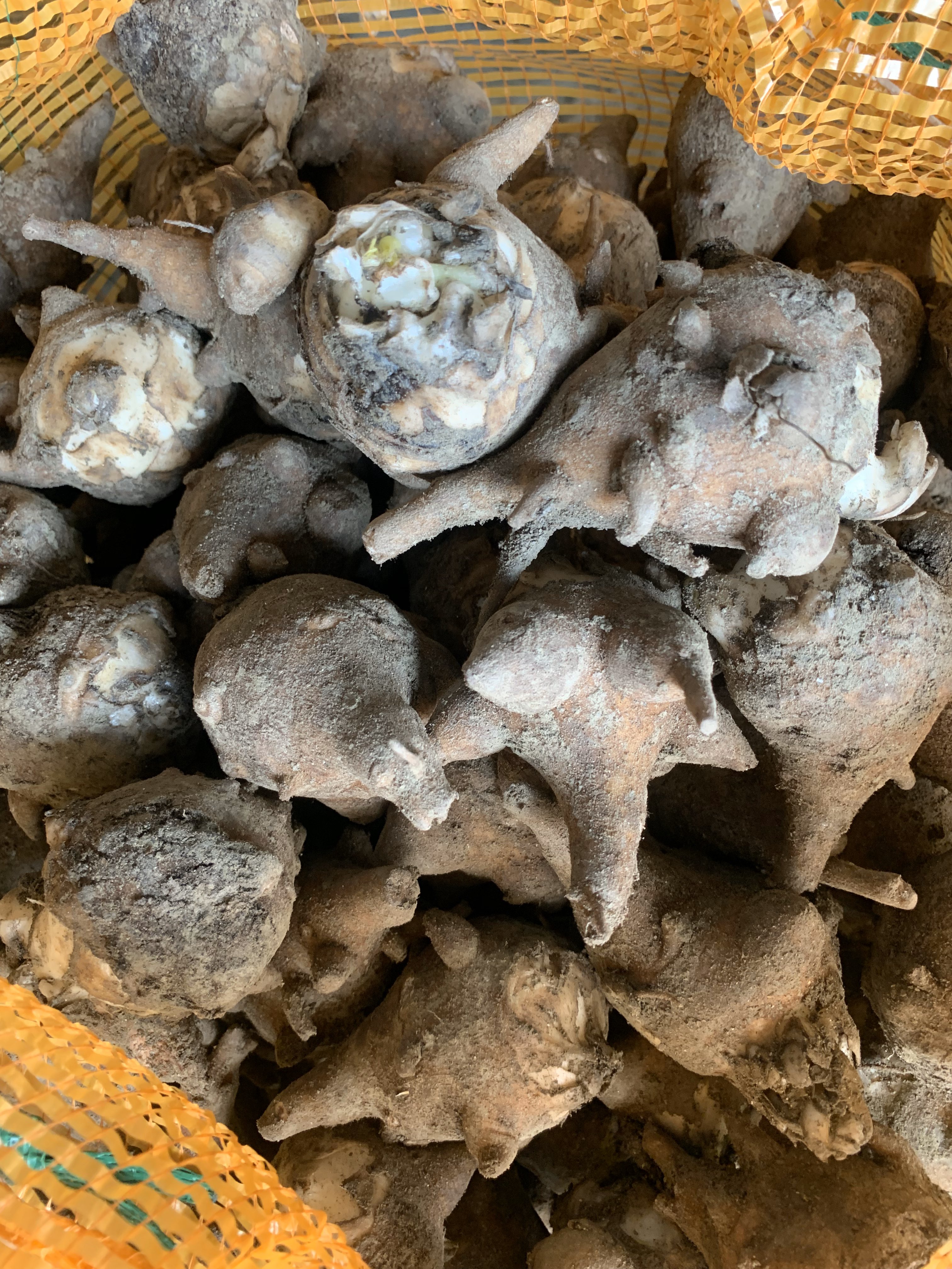 [天雄批发]江油精品生片,一公斤包邮到家.价格150.00元/公斤 - 一亩田