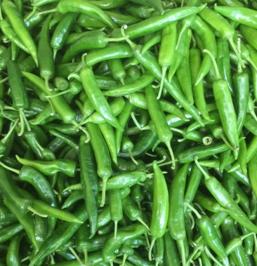 广东省阳江市阳西县鲜辣椒