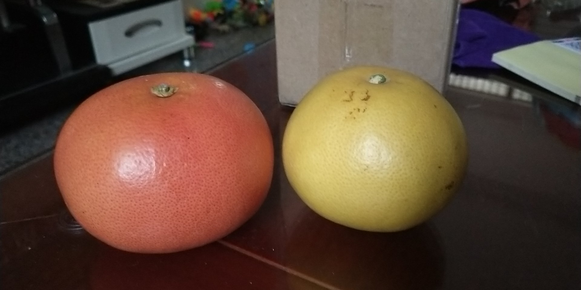 展示不同规格的红心柚子树苗,包括一年生和两年生苗 红心柚子树苗展示图