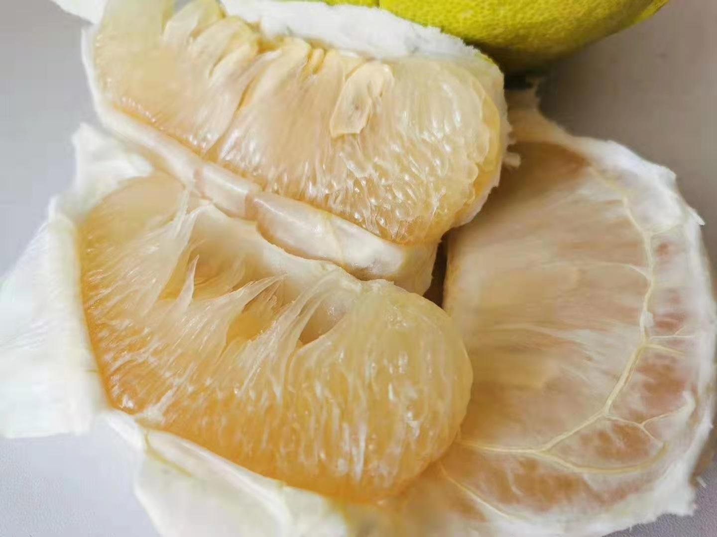 沙田柚整果特写