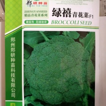 【优质】精选郑研种苗西蓝花种子品质好产量高抗性好
