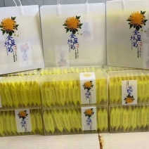 金丝皇菊