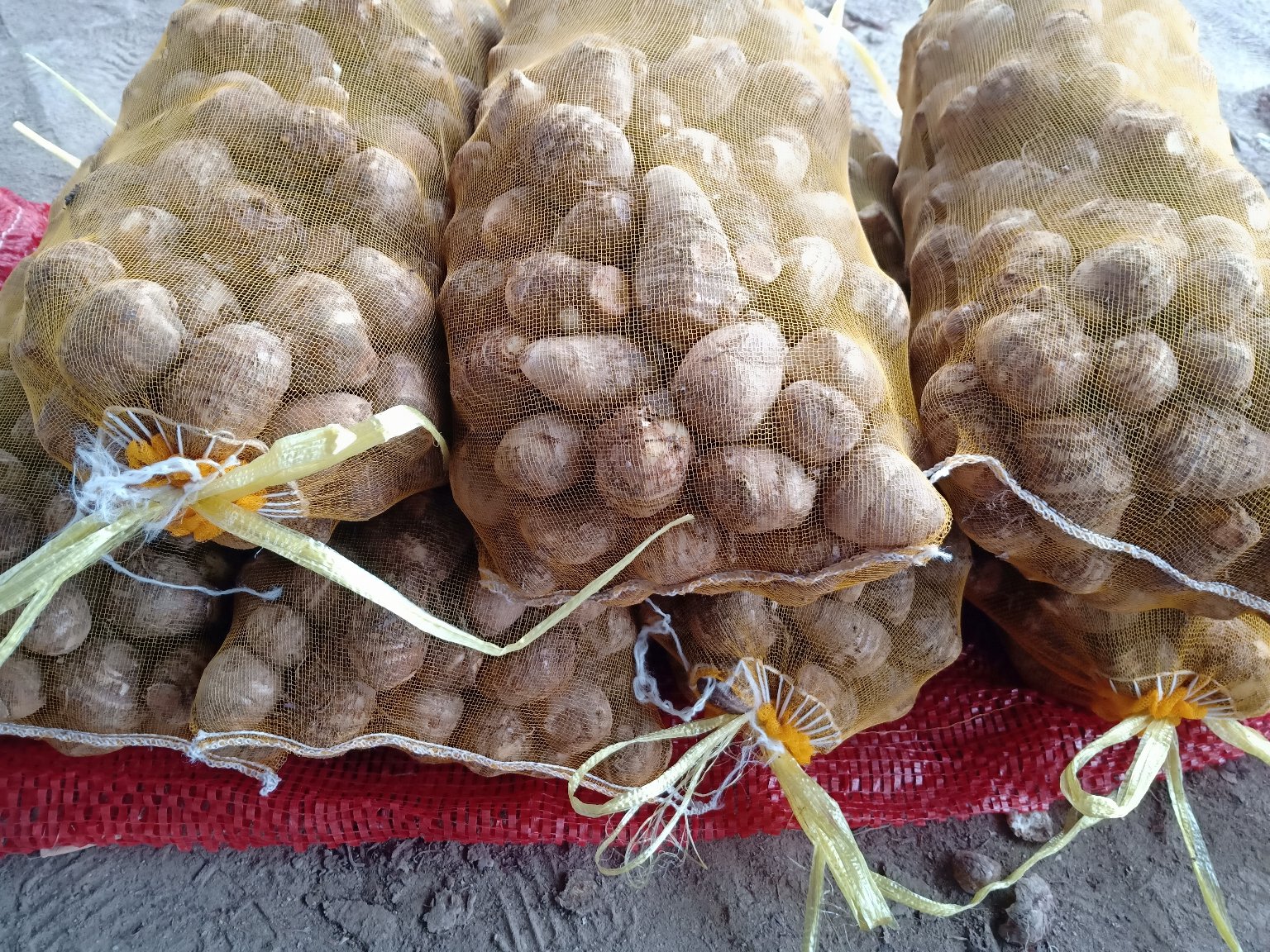 纪实摄影风格:展现毛芋头从田间到餐桌的关键环节——带毛整芋入笼蒸制,强调‘毛’为品质标识,蒸汽中隐约可见芋肉紫灰本色,突出农产品原始生命力 传统蒸笼场景:竹制蒸笼内叠放带毛荔浦毛芋头,蒸汽氤氲,笼盖缝隙透出紫灰色芋肉光泽,背景虚化处可见农户手部特写正在挑选带毛芋头