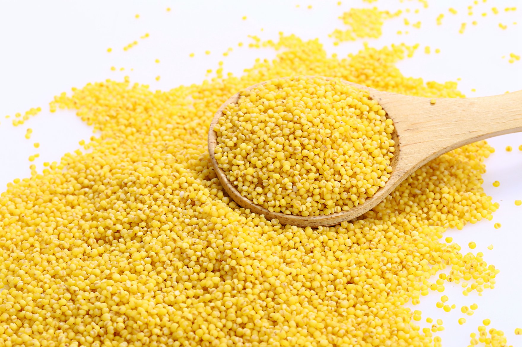 沁州黄小米2020年新米 袋装9斤装大量现货批发