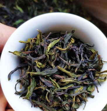 高山茶叶八仙土山茶心潮汕八仙茶惠来高山土山茶1斤1袋