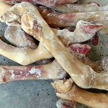驴肉请选购优质驴肉马肉板肠下水