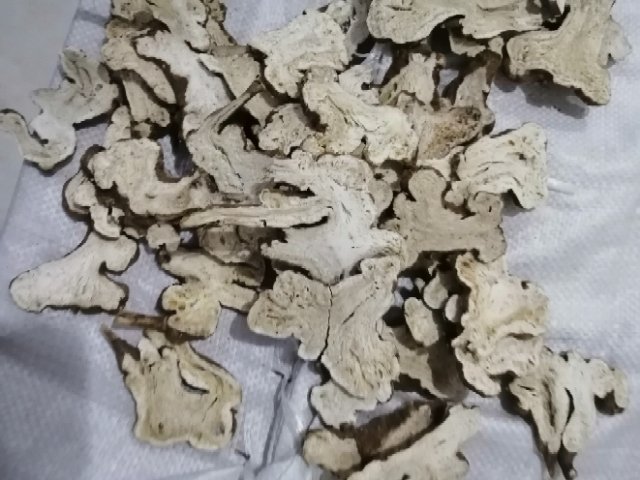白术片的干燥切片展示,清晰可见其纹理和色泽 白术片的干燥切片展示