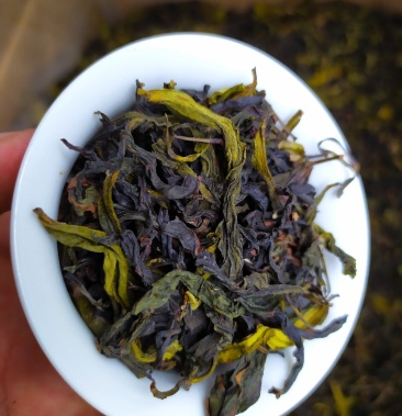 高山茶叶惠来土山茶潮汕八仙茶高山土山茶礼袋装1斤