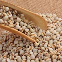 产地直销薏米仁薏苡仁小粒大粒规格齐全