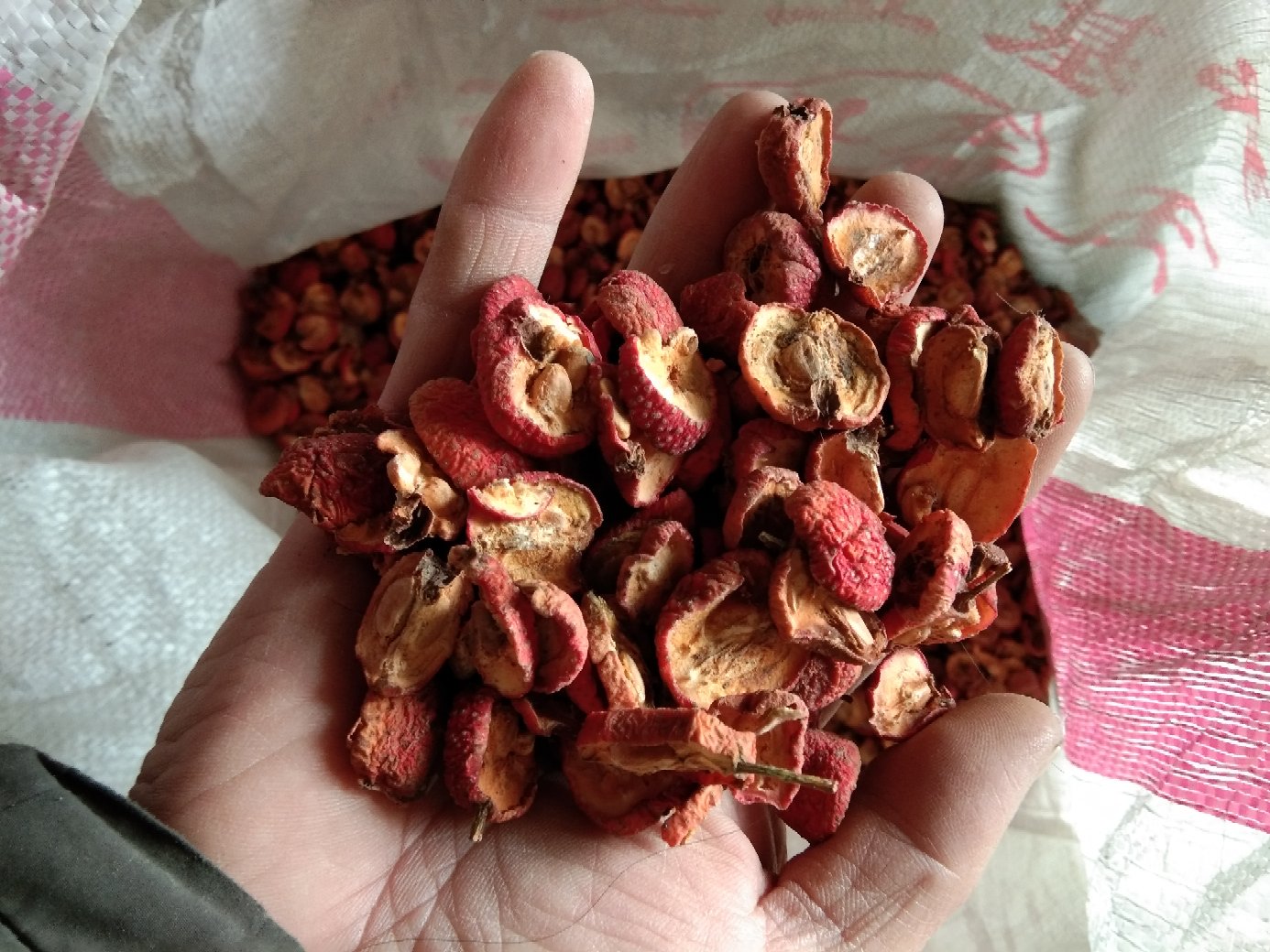 山楂干手感检测示意图